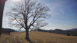 Bludný - Rajnochovice Troják