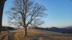 Bludný - Rajnochovice Troják