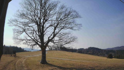 Bludný - Rajnochovice Troják