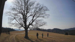 Bludný - Rajnochovice Troják