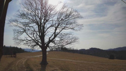 Bludný - Rajnochovice Troják