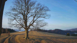 Bludný - Rajnochovice Troják