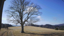 Bludný - Rajnochovice Troják