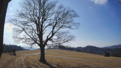 Bludný - Rajnochovice Troják