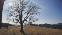 Bludný - Rajnochovice Troják