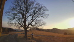 Bludný - Rajnochovice Troják