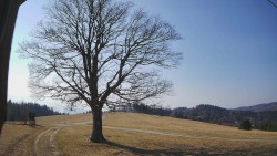 Bludný - Rajnochovice Troják