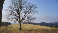 Bludný - Rajnochovice Troják