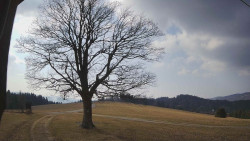 Bludný - Rajnochovice Troják