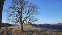 Bludný - Rajnochovice Troják