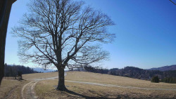 Bludný - Rajnochovice Troják