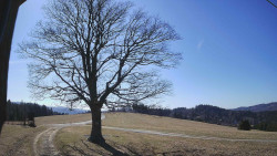 Bludný - Rajnochovice Troják