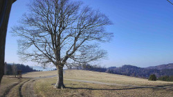 Bludný - Rajnochovice Troják