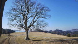 Bludný - Rajnochovice Troják