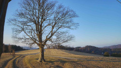 Bludný - Rajnochovice Troják