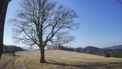 Bludný - Rajnochovice Troják