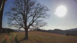 Bludný - Rajnochovice Troják