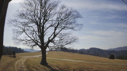 Bludný - Rajnochovice Troják