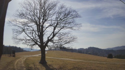 Bludný - Rajnochovice Troják