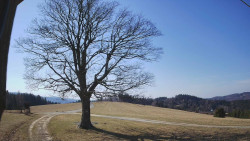 Bludný - Rajnochovice Troják