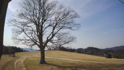 Bludný - Rajnochovice Troják