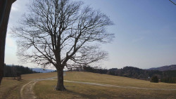 Bludný - Rajnochovice Troják