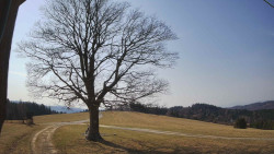 Bludný - Rajnochovice Troják