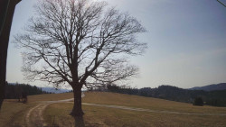 Bludný - Rajnochovice Troják