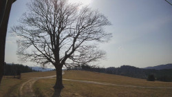 Bludný - Rajnochovice Troják