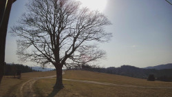 Bludný - Rajnochovice Troják