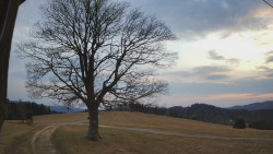 Bludný - Rajnochovice Troják