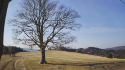 Bludný - Rajnochovice Troják