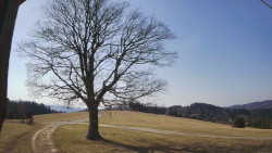 Bludný - Rajnochovice Troják