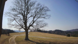 Bludný - Rajnochovice Troják