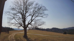 Bludný - Rajnochovice Troják