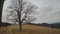 Bludný - Rajnochovice Troják