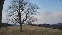 Bludný - Rajnochovice Troják