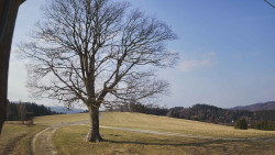 Bludný - Rajnochovice Troják