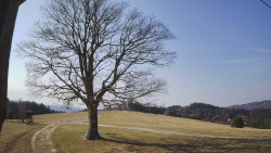 Bludný - Rajnochovice Troják