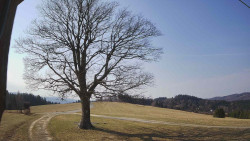 Bludný - Rajnochovice Troják