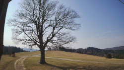 Bludný - Rajnochovice Troják