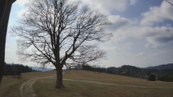 Bludný - Rajnochovice Troják