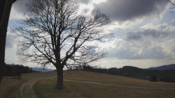 Bludný - Rajnochovice Troják