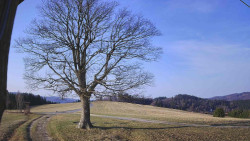 Bludný - Rajnochovice Troják