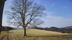 Bludný - Rajnochovice Troják