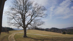 Bludný - Rajnochovice Troják