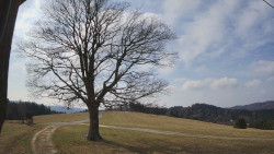 Bludný - Rajnochovice Troják