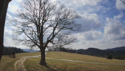 Bludný - Rajnochovice Troják