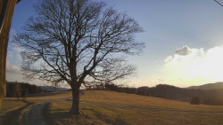 Bludný - Rajnochovice Troják