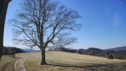 Bludný - Rajnochovice Troják